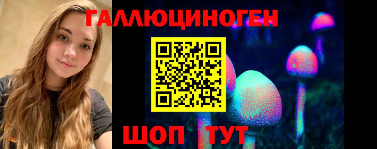 Псилоцибиновые грибы Psilocybine cubensis  Псилоцибиновые грибы Cubensis  Вход с VPN  Чайковский 